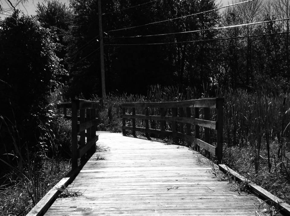 14694839_1117395868367658_838653935_n