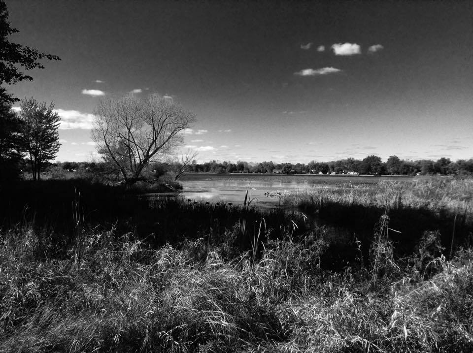 14699926_1117395948367650_1907090597_n