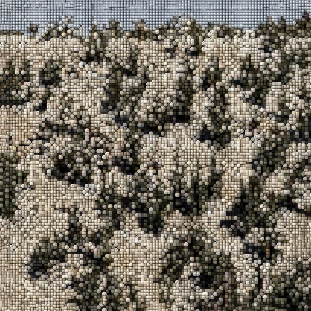 Gregory Uhlmann : Extra Stars – Complex Distractions